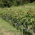 Εξοχικό σπίτι Santa Pigna Centola