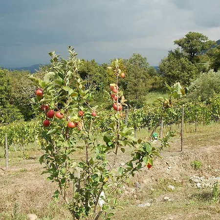 Santa Pigna Country house Centola