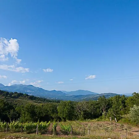 Santa Pigna
